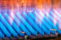 Warburton Green gas fired boilers